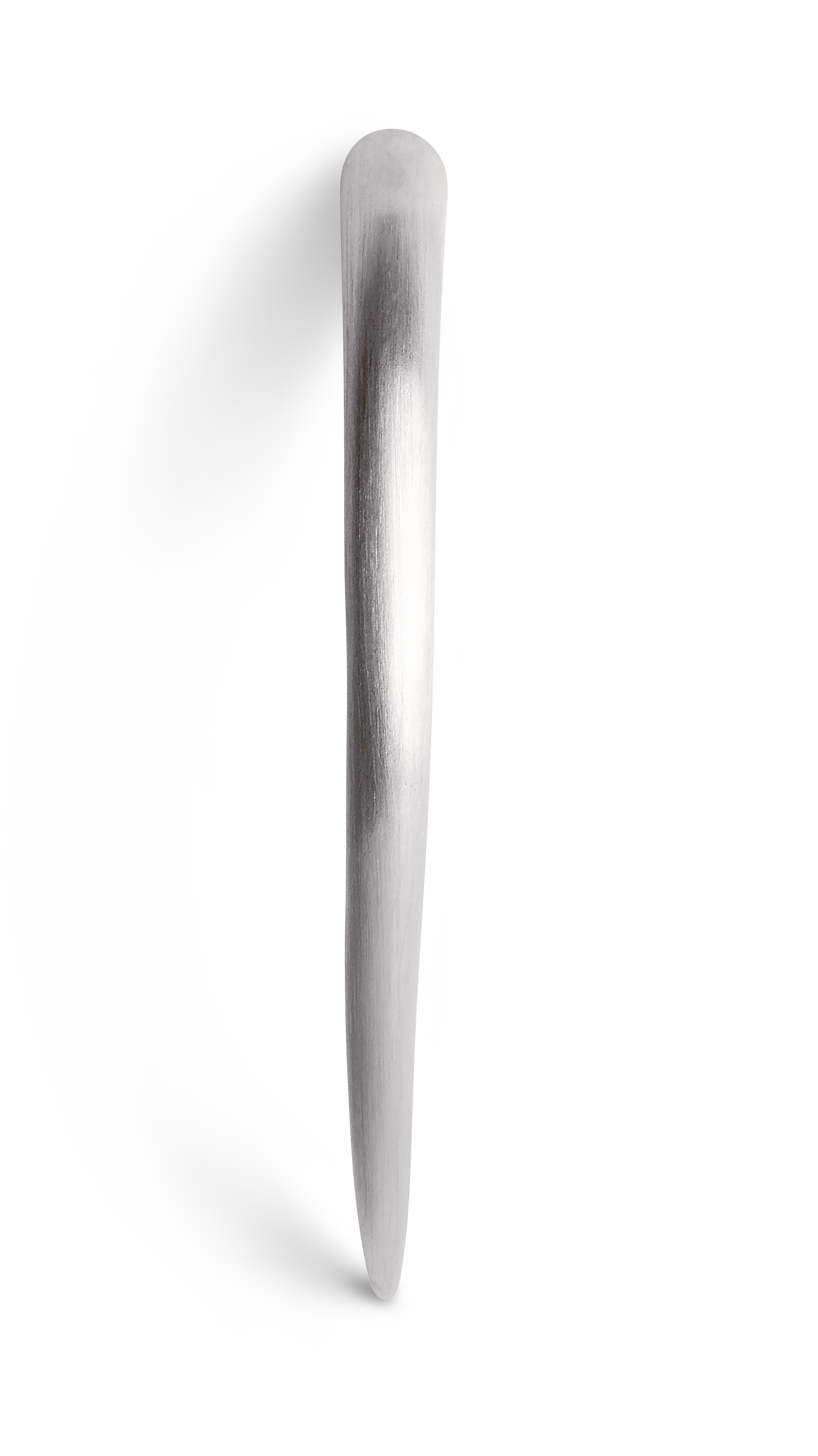 Horn Earring